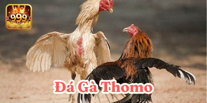 Luật chơi công bằng và trận đấu hấp dẫn